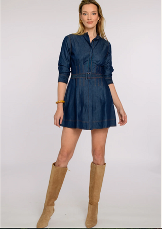 Cameron Dress - Denim