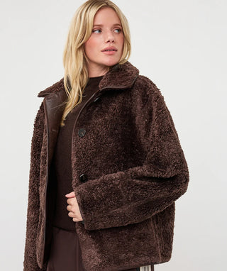 Coat Inside Teddy