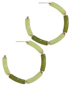 Resin Tube Bead Hoops