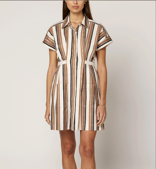 Sable Mini Dress - Giatta Stripe
