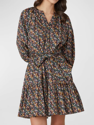 Esmae Dress - Jet Multi