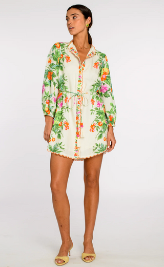 Sadie Dress