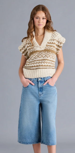 Paulie Sweater Vest - Multi
